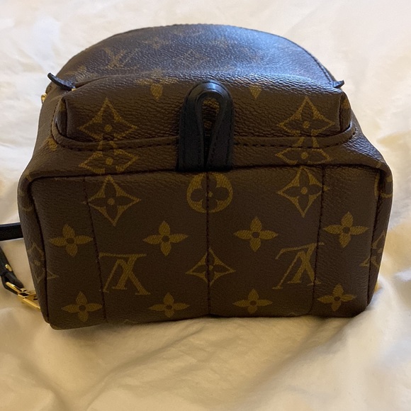 LV Palm Spring Mini - Picture 9 of 15
